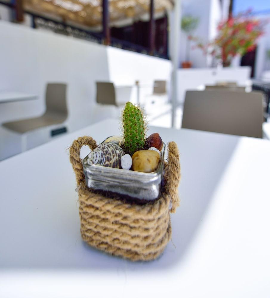 Kalidon Beach Hotel 코카리 외부 사진